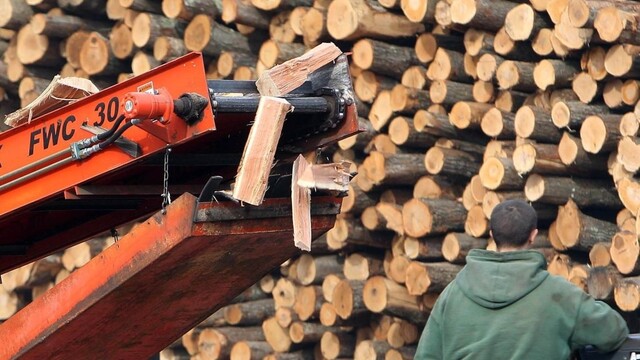 Drevo drevovýroba drevorubač píla ilu 1140px (SITA/AP)